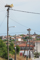 P5220142